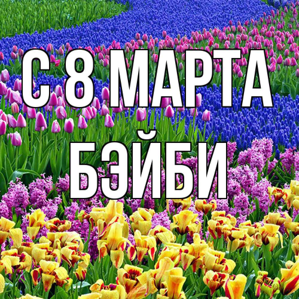 Открытка на каждый день с именем, бэйби C 8 МАРТА цветы Прикольная открытка с пожеланием онлайн скачать бесплатно 