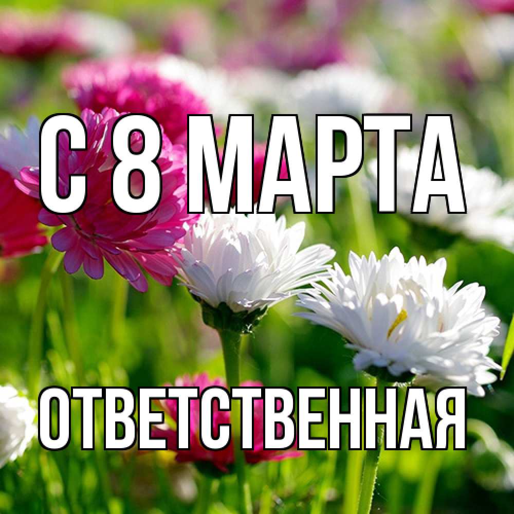 Открытка на каждый день с именем, ответственная C 8 МАРТА международный женский день 1 Прикольная открытка с пожеланием онлайн скачать бесплатно 