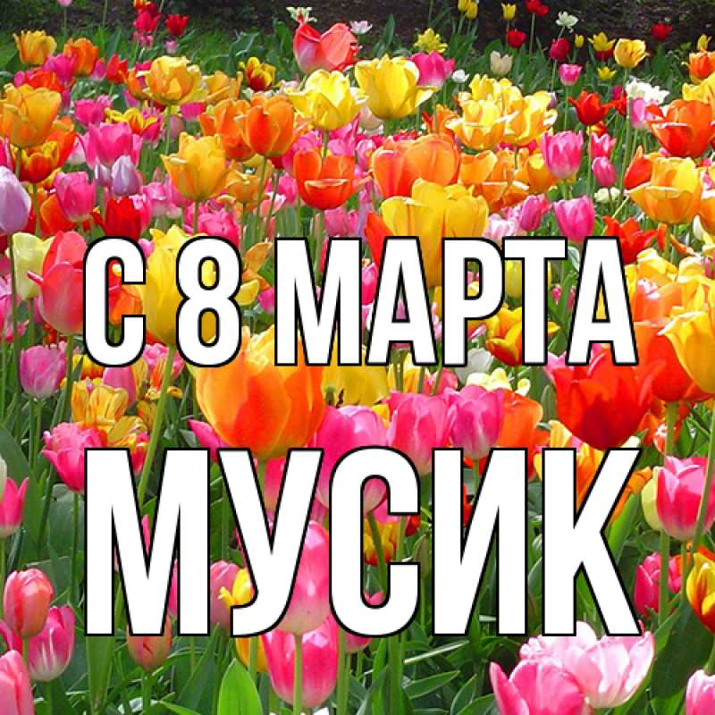 Картинка C 8 МАРТА, мусик