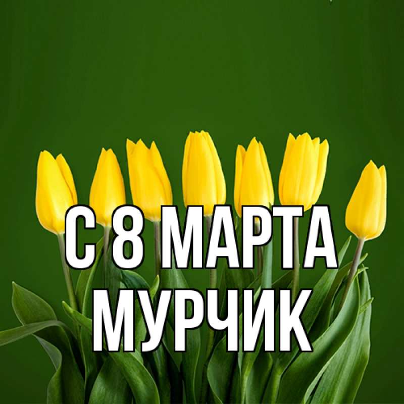 Картинка C 8 МАРТА, Мурчик