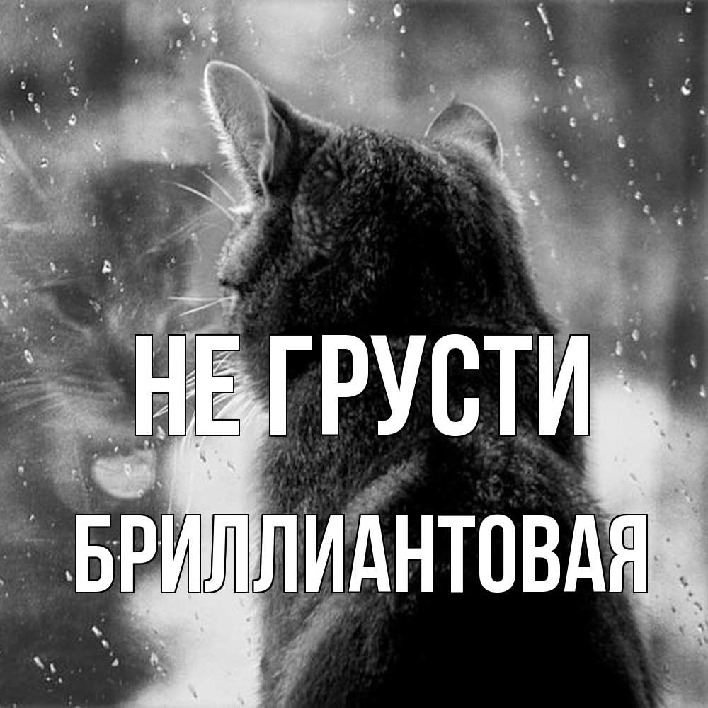 Открытка на каждый день с именем, Бpиллиантовая Не грусти отражение кота 1 Прикольная открытка с пожеланием онлайн скачать бесплатно 