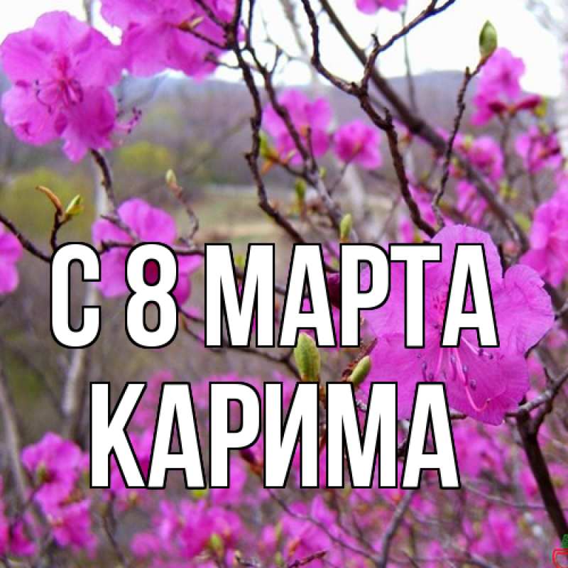 Картинка C 8 МАРТА, Карима