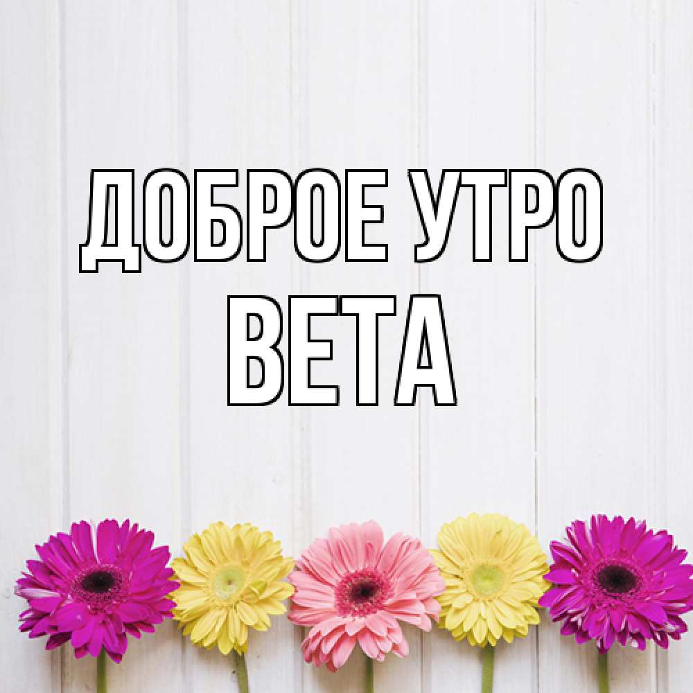 Открытка на каждый день с именем, Вета Доброе утро красный желтый и розовый цветок Прикольная открытка с пожеланием онлайн скачать бесплатно 