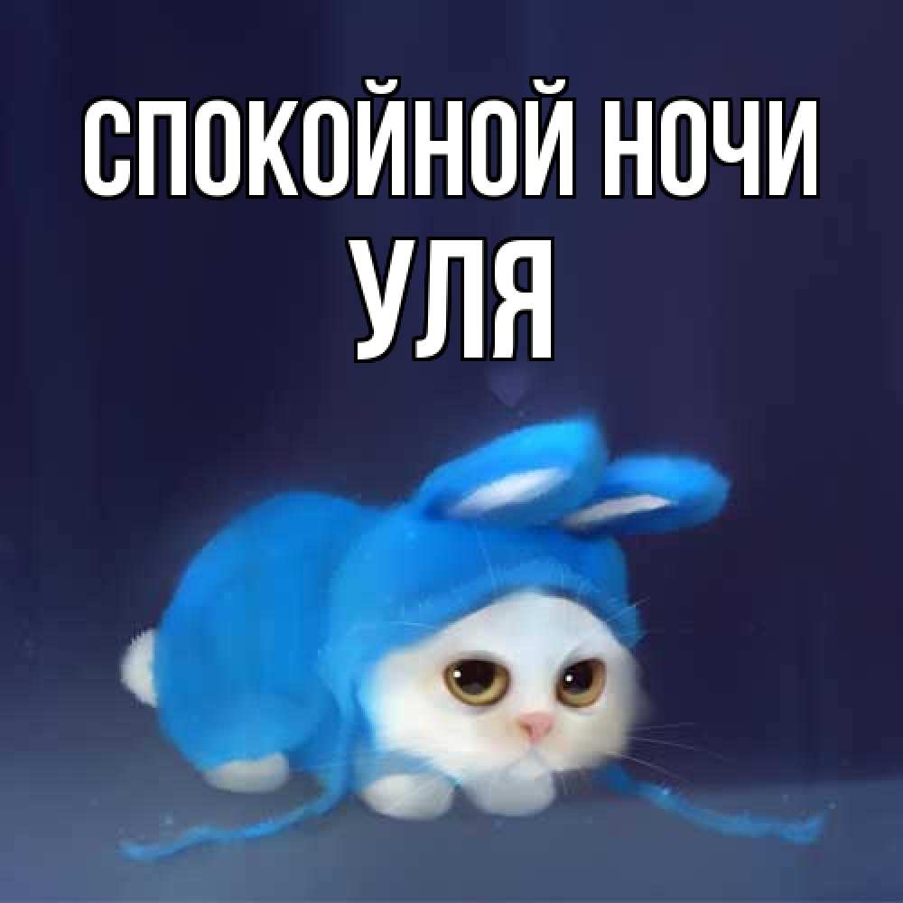 Открытка на каждый день с именем, Уля Спокойной ночи кот в голубом костюме кролика с ушками Прикольная открытка с пожеланием онлайн скачать бесплатно 