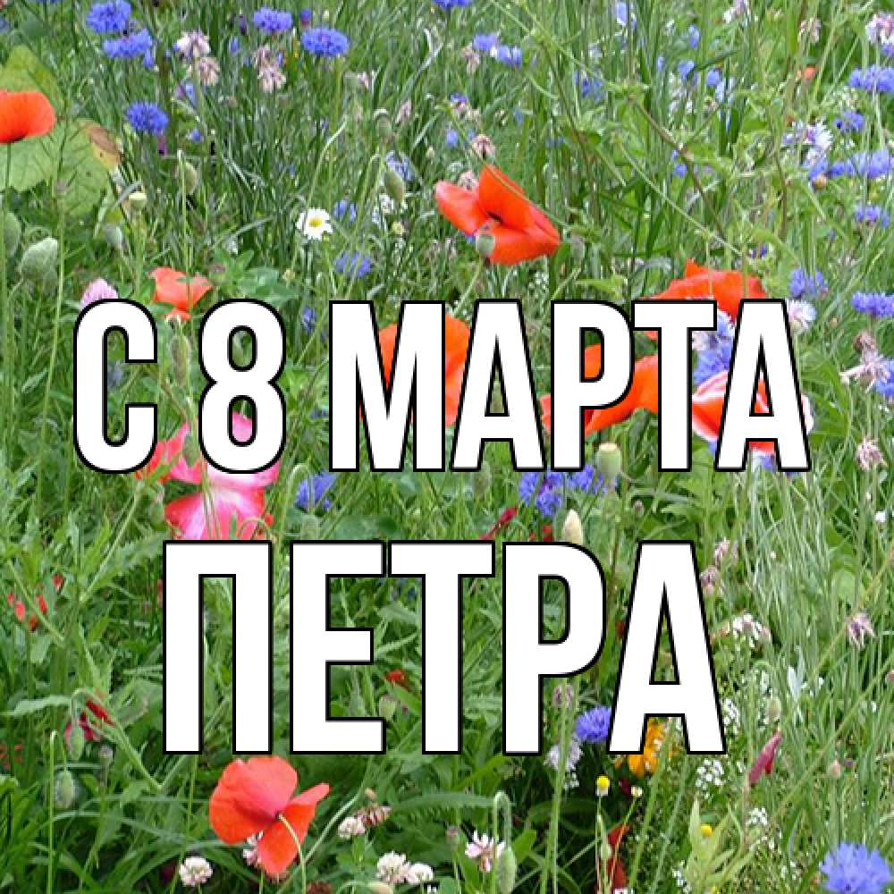 Открытка на каждый день с именем, Петра C 8 МАРТА международный женский день 4 Прикольная открытка с пожеланием онлайн скачать бесплатно 