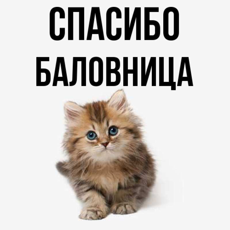 Картинка Спасибо, Баловница