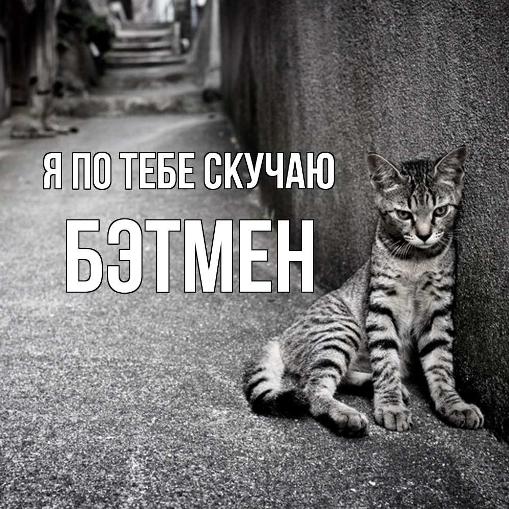 Открытка на каждый день с именем, Бэтмен Я по тебе скучаю одиноко котику Прикольная открытка с пожеланием онлайн скачать бесплатно 