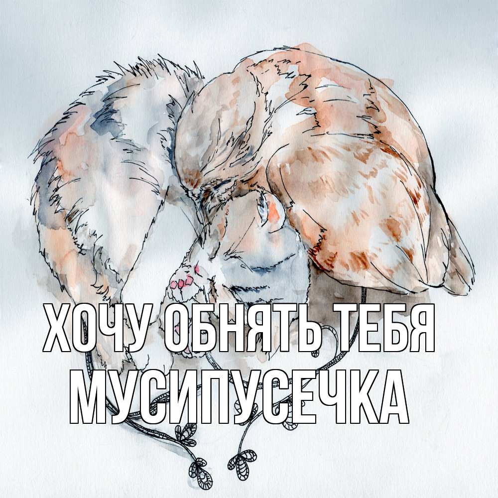 Открытка на каждый день с именем, Мусипусечка Хочу обнять тебя можно быть вместе даже когда очень разные Прикольная открытка с пожеланием онлайн скачать бесплатно 