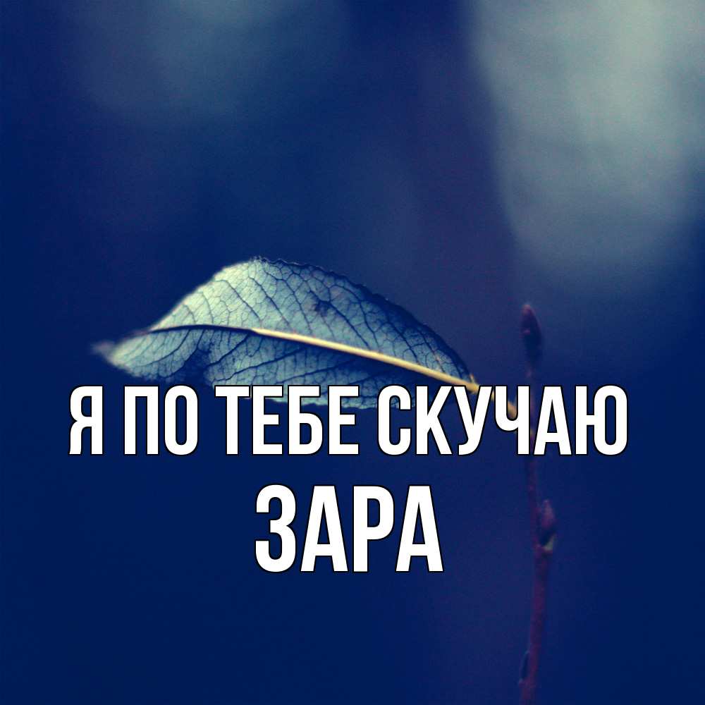 Открытка на каждый день с именем, Зара Я по тебе скучаю одна ветка 1 Прикольная открытка с пожеланием онлайн скачать бесплатно 