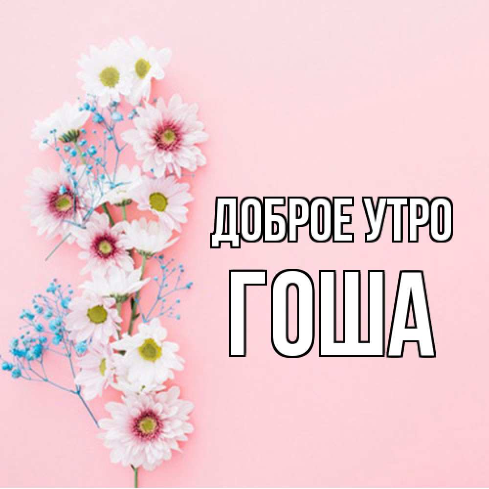 Открытка на каждый день с именем, Гоша Доброе утро цветы с подписью Прикольная открытка с пожеланием онлайн скачать бесплатно 