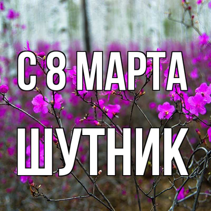 Открытка с именем, Шутник, C 8 МАРТА