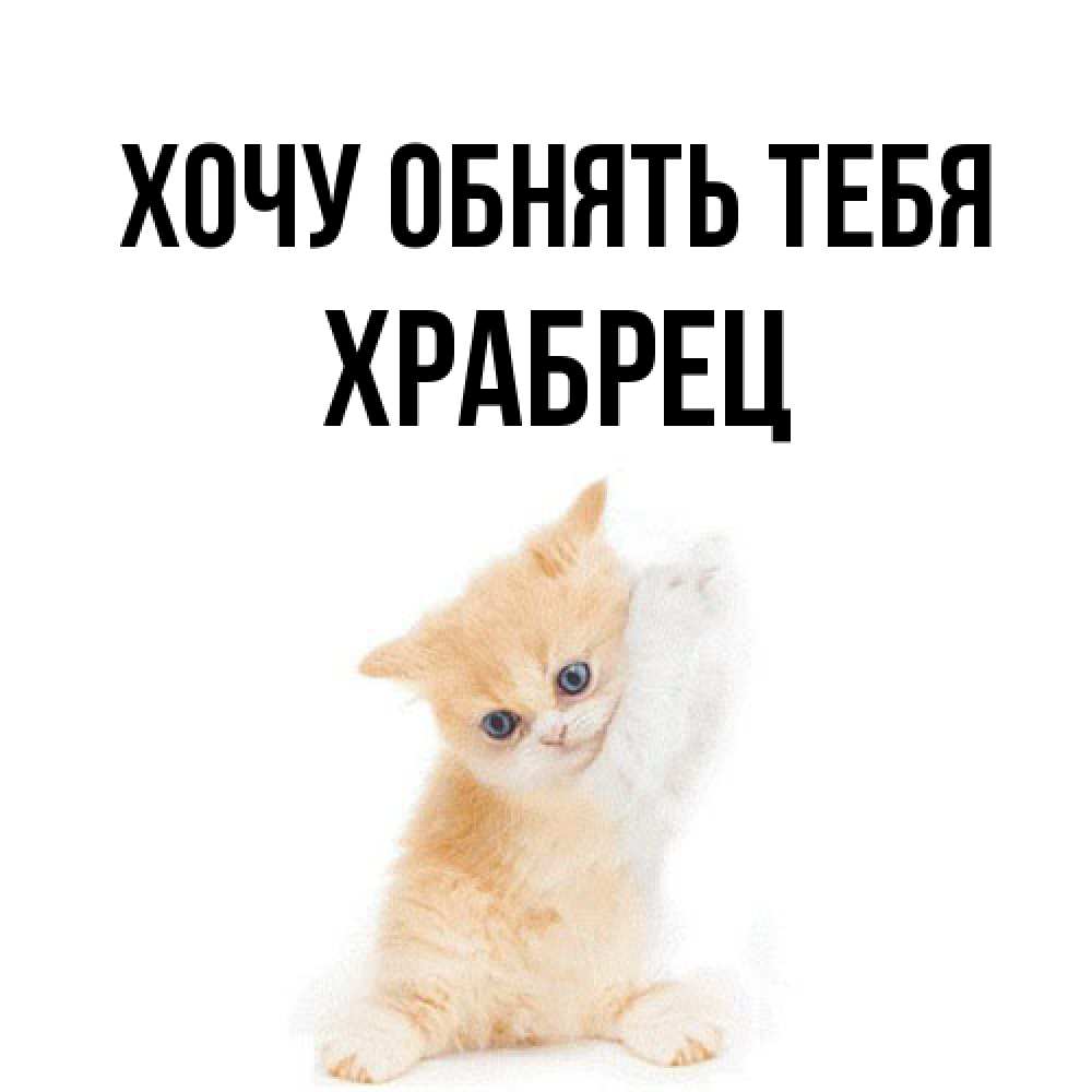 Открытка на каждый день с именем, Храбрец Хочу обнять тебя я хочу очень скорее обнимаешек Прикольная открытка с пожеланием онлайн скачать бесплатно 