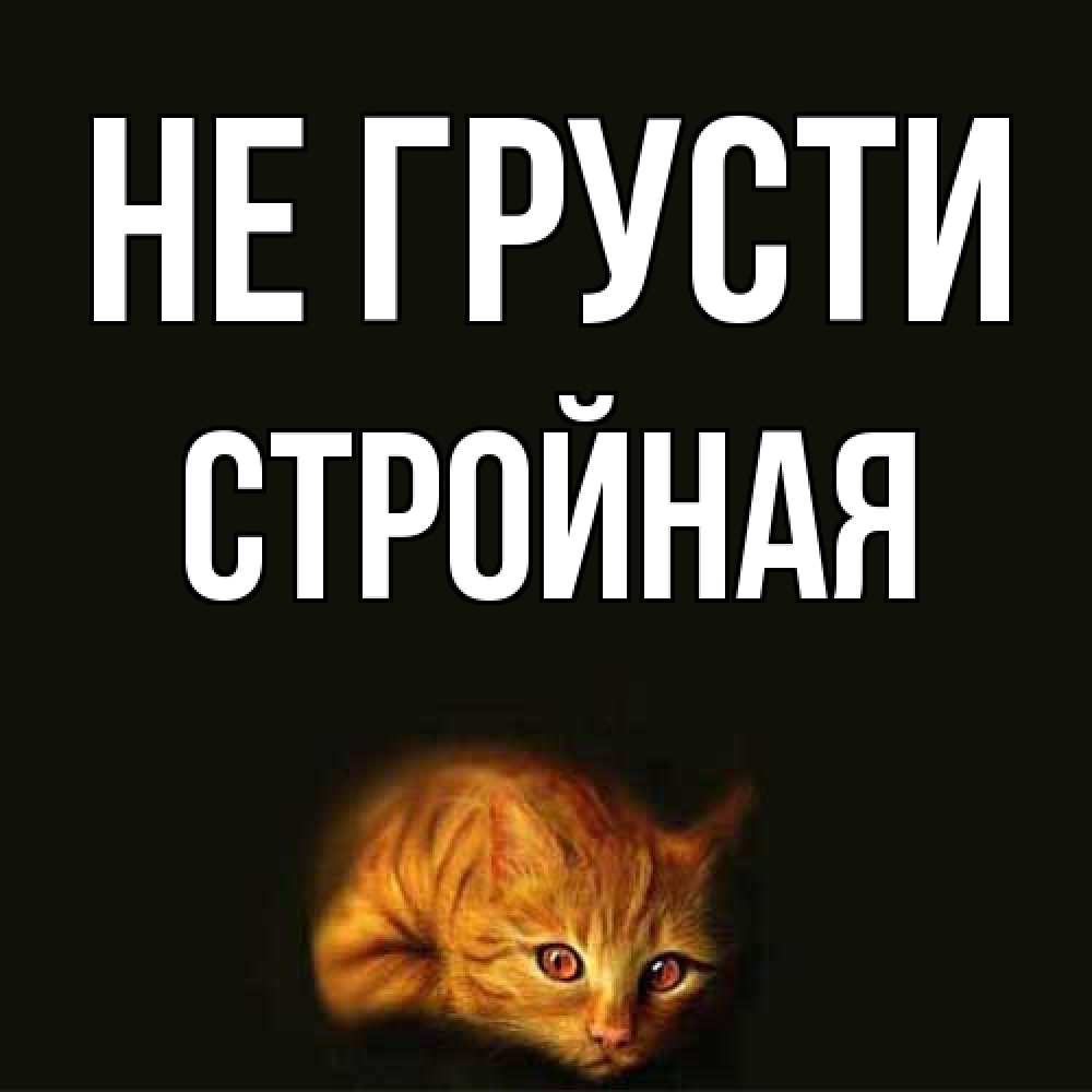 Открытка на каждый день с именем, Стpойная Не грусти лежащий кот в темноте Прикольная открытка с пожеланием онлайн скачать бесплатно 