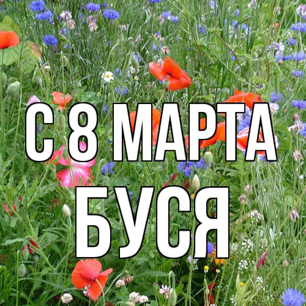 Открытка на каждый день с именем, Буся C 8 МАРТА международный женский день 4 Прикольная открытка с пожеланием онлайн скачать бесплатно 