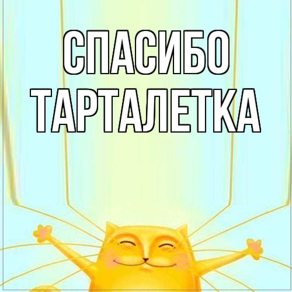 Открытка на каждый день с именем, Тарталетка Спасибо кот с усами благодарит Прикольная открытка с пожеланием онлайн скачать бесплатно 