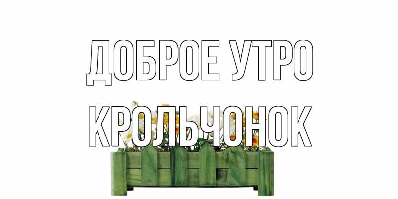 Картинка Доброе утро, Крольчонок