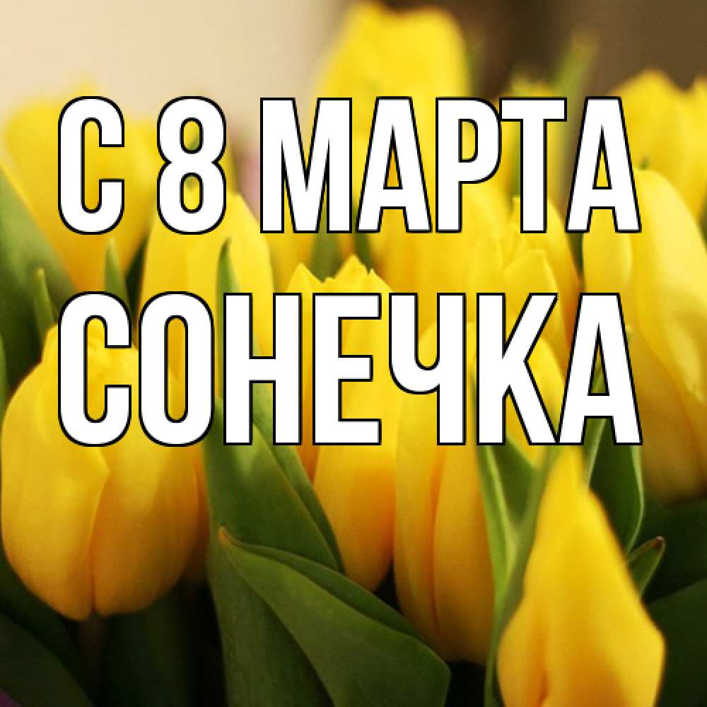 Открытка на каждый день с именем, Сонечка C 8 МАРТА цветы Прикольная открытка с пожеланием онлайн скачать бесплатно 