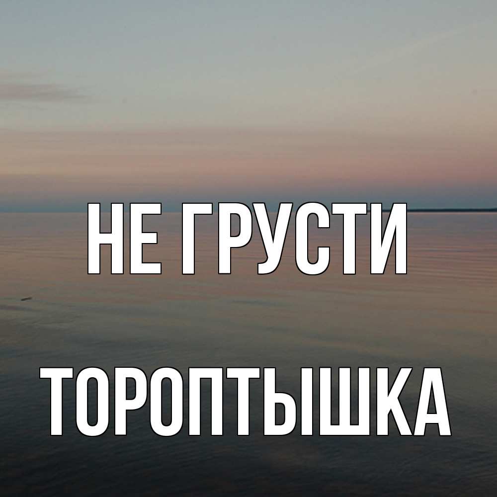 Открытка на каждый день с именем, Тороптышка Не грусти водная гладь Прикольная открытка с пожеланием онлайн скачать бесплатно 
