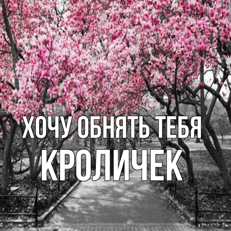 Картинка Хочу обнять тебя, кроличек