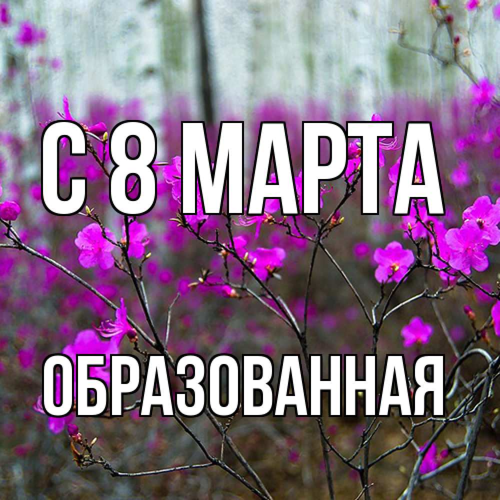 Открытка на каждый день с именем, Образованная C 8 МАРТА дикие цветы Прикольная открытка с пожеланием онлайн скачать бесплатно 