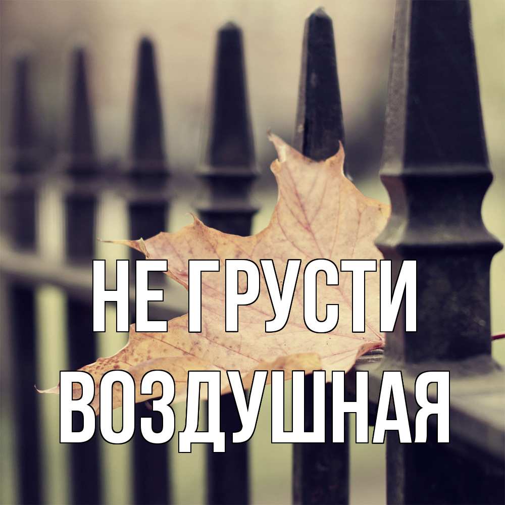 Открытка на каждый день с именем, воздушная Не грусти лист клена Прикольная открытка с пожеланием онлайн скачать бесплатно 