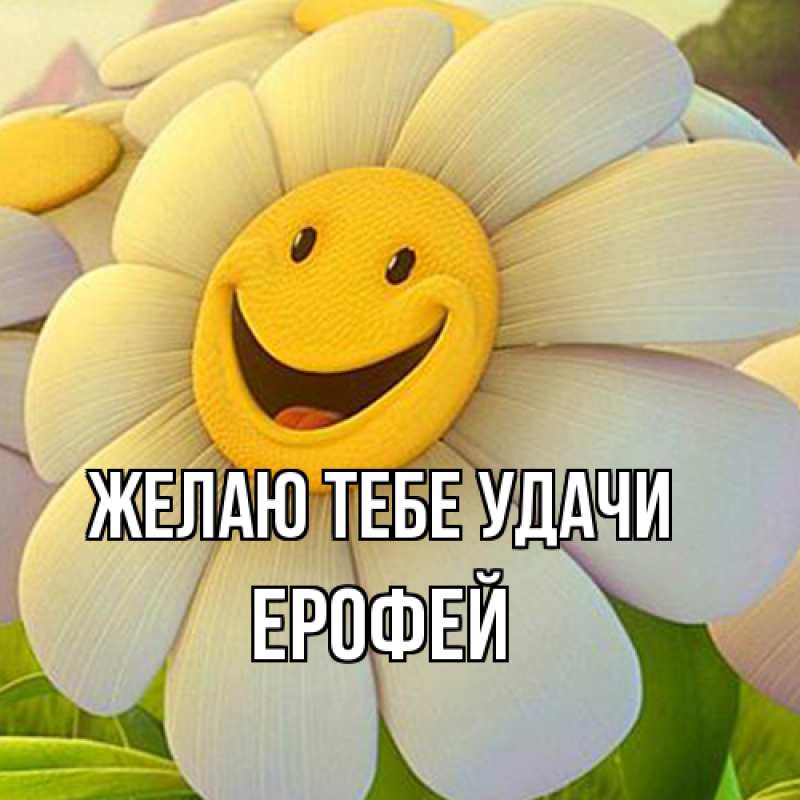 Картинка Желаю тебе удачи, Ерофей