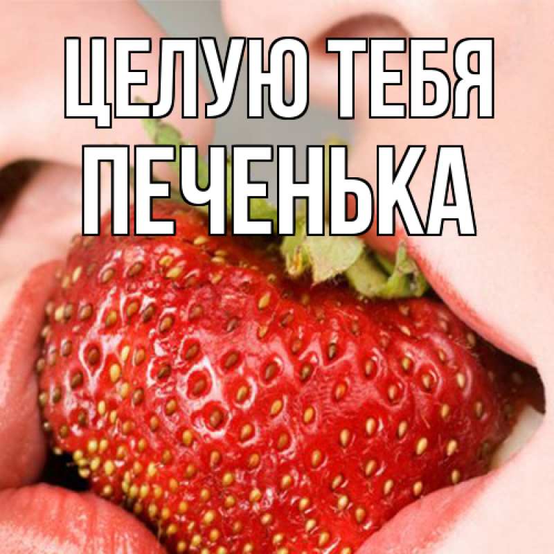 Картинка Целую тебя, Печенька