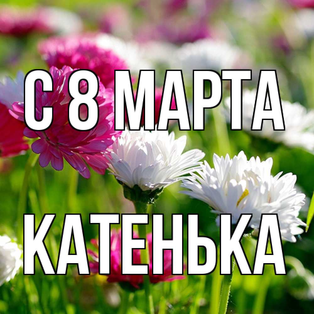 Открытка на каждый день с именем, Катенька C 8 МАРТА международный женский день 1 Прикольная открытка с пожеланием онлайн скачать бесплатно 