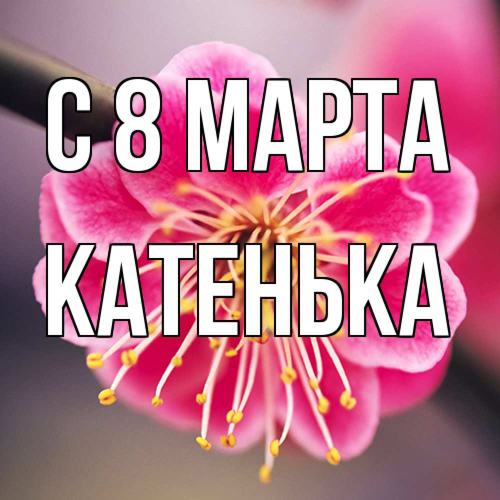 Открытка на каждый день с именем, Катенька C 8 МАРТА цветы Прикольная открытка с пожеланием онлайн скачать бесплатно 