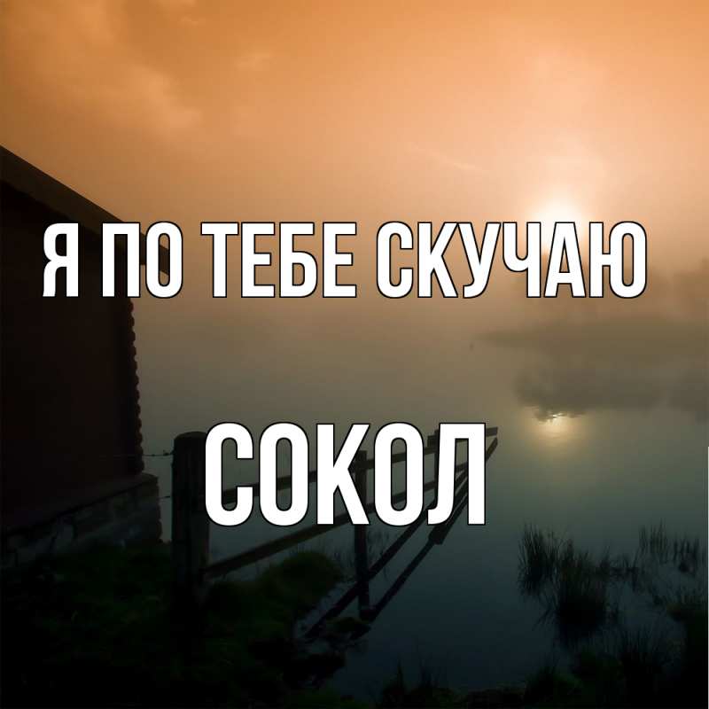 Картинка Я по тебе скучаю, Сокол