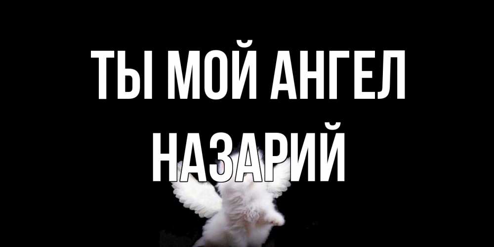 Открытка на каждый день с именем, Назарий Ты мой ангел Кот ангел Прикольная открытка с пожеланием онлайн скачать бесплатно 