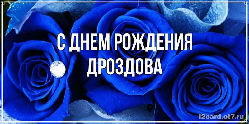 Картинка С днем рождения, Дроздова