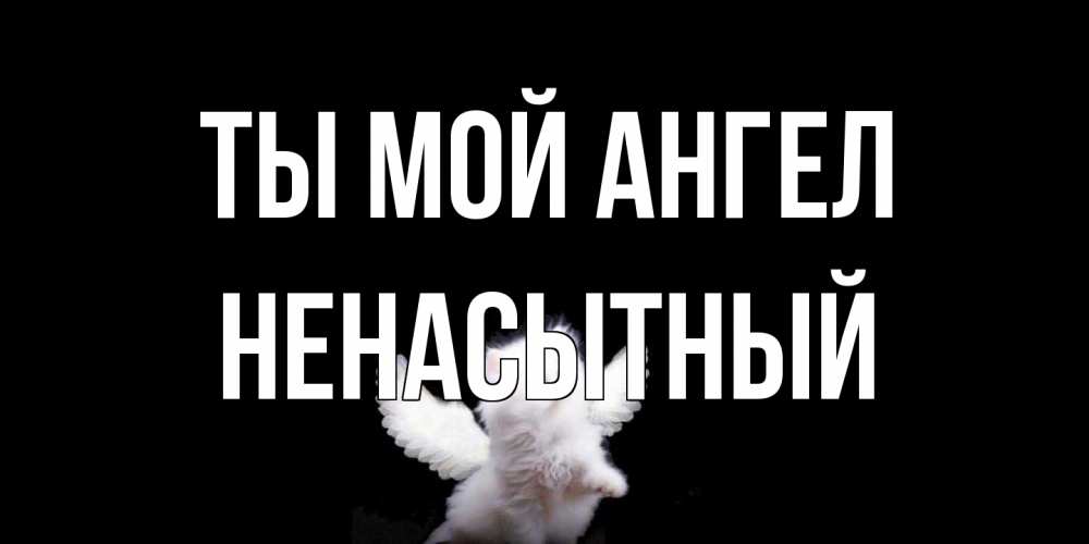 Открытка на каждый день с именем, Ненасытный Ты мой ангел Кот ангел Прикольная открытка с пожеланием онлайн скачать бесплатно 