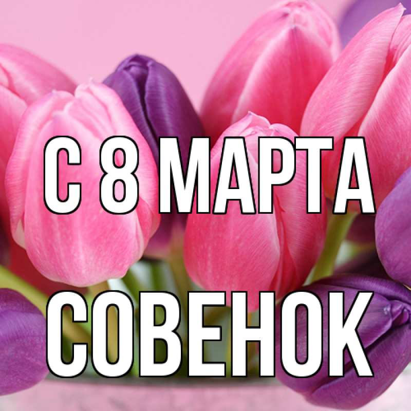 Картинка C 8 МАРТА, совенок