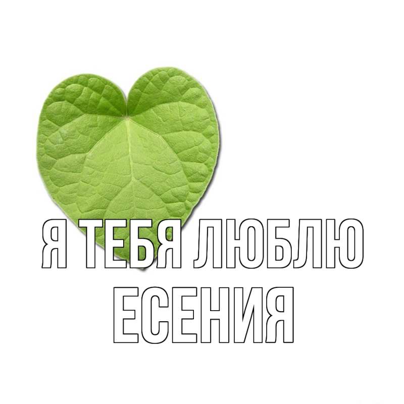 Картинка Я тебя люблю, Есения