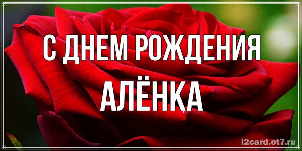 Открытка на каждый день с именем, Алёнка С днем рождения розочка очень красивая Прикольная открытка с пожеланием онлайн скачать бесплатно 