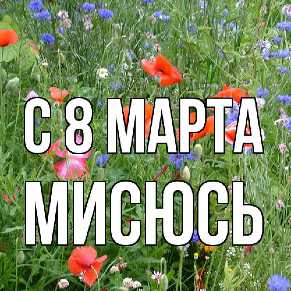 Открытка на каждый день с именем, мисюсь C 8 МАРТА международный женский день 4 Прикольная открытка с пожеланием онлайн скачать бесплатно 