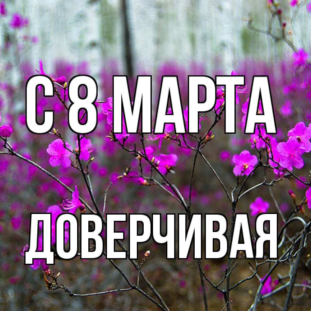 Открытка на каждый день с именем, Доверчивая C 8 МАРТА дикие цветы Прикольная открытка с пожеланием онлайн скачать бесплатно 