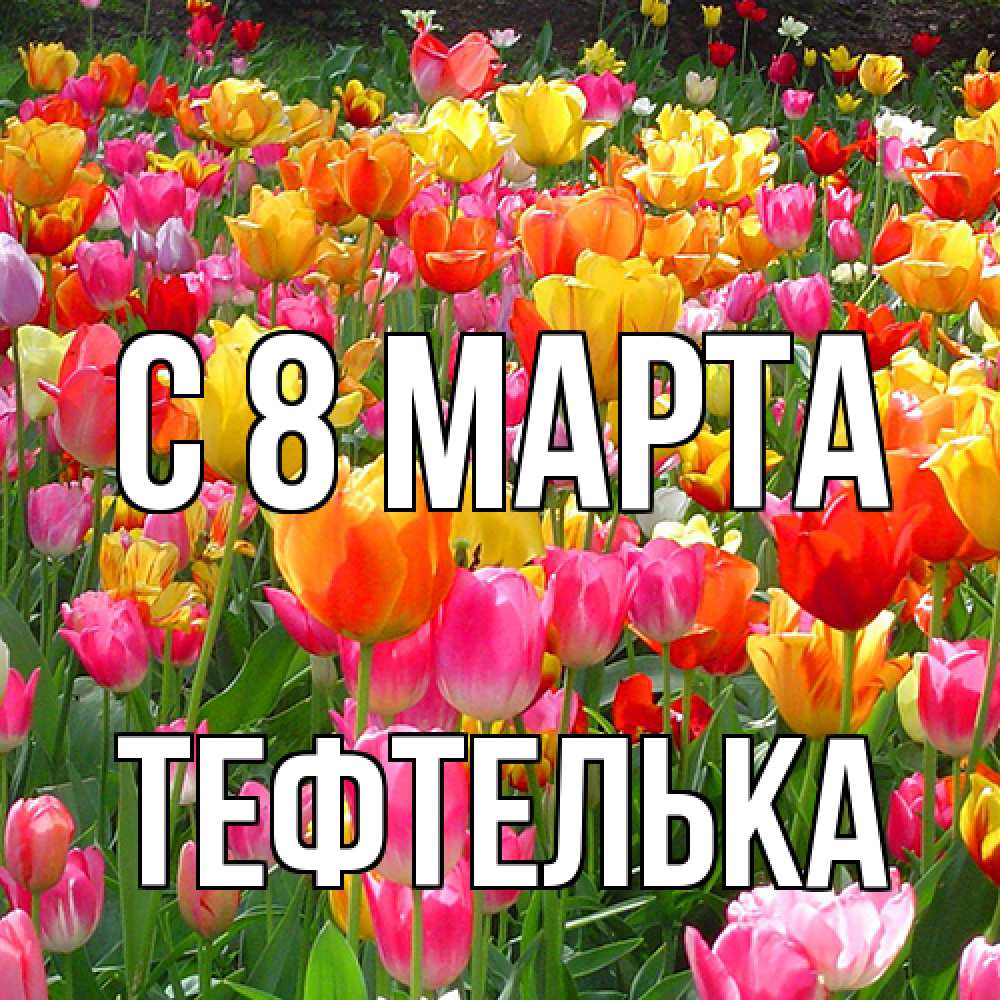 Открытка на каждый день с именем, тефтелька C 8 МАРТА на международный женский день Прикольная открытка с пожеланием онлайн скачать бесплатно 
