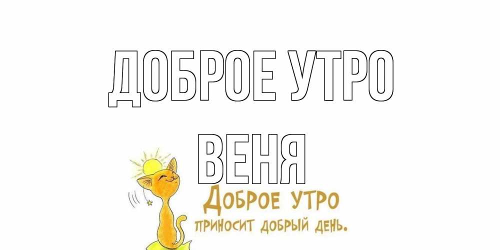 Открытка на каждый день с именем, Веня Доброе утро кот, солнце Прикольная открытка с пожеланием онлайн скачать бесплатно 