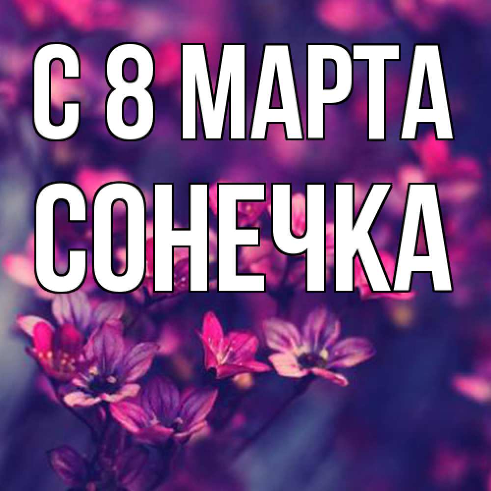 Открытка на каждый день с именем, Сонечка C 8 МАРТА небольшие цветы 1 Прикольная открытка с пожеланием онлайн скачать бесплатно 
