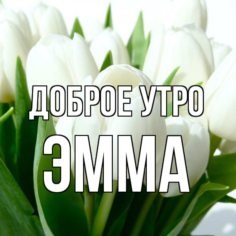 Открытка на каждый день с именем, Эмма Доброе утро открытки на каждый день по именам Прикольная открытка с пожеланием онлайн скачать бесплатно 