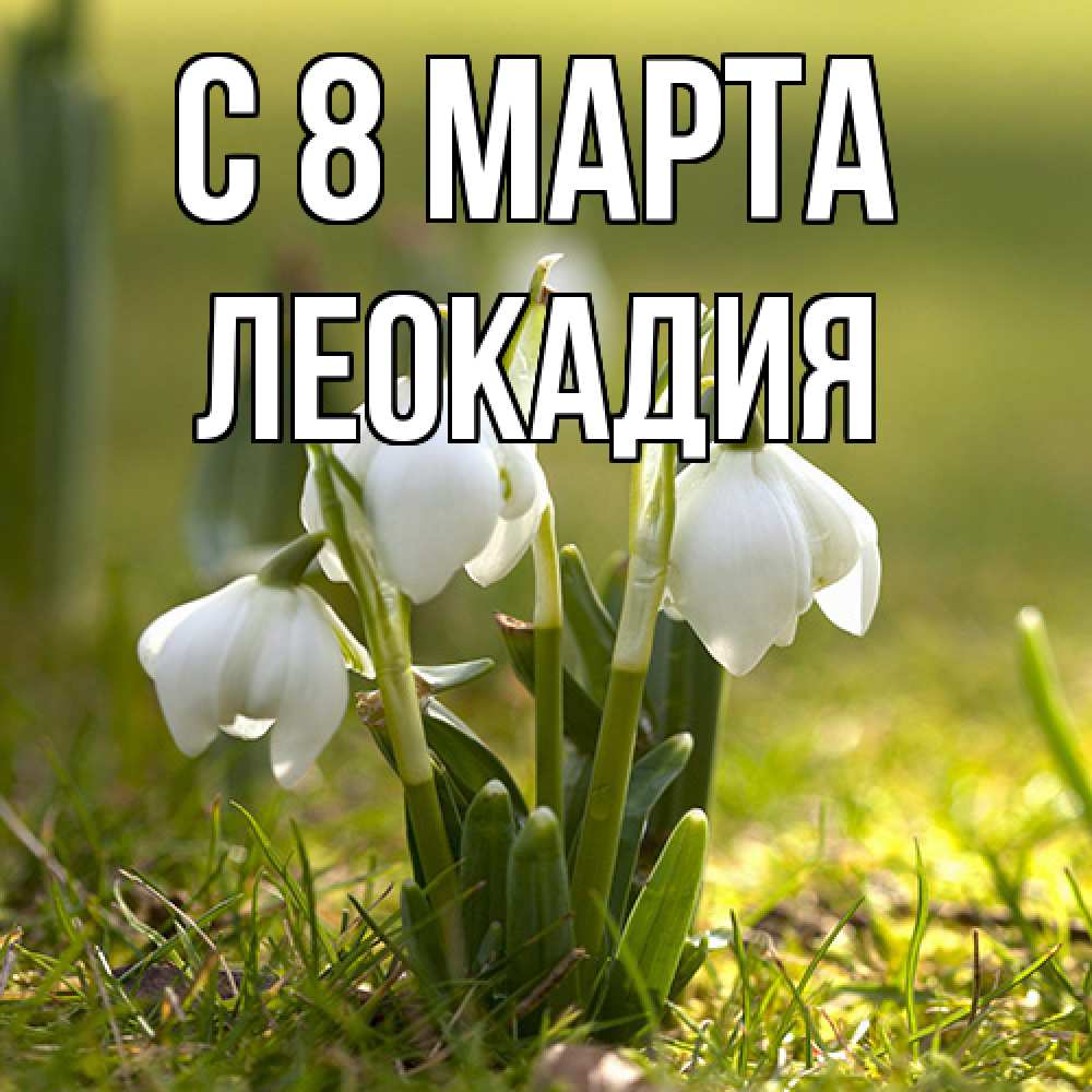 Открытка на каждый день с именем, Леокадия C 8 МАРТА ранние цветы 2 Прикольная открытка с пожеланием онлайн скачать бесплатно 
