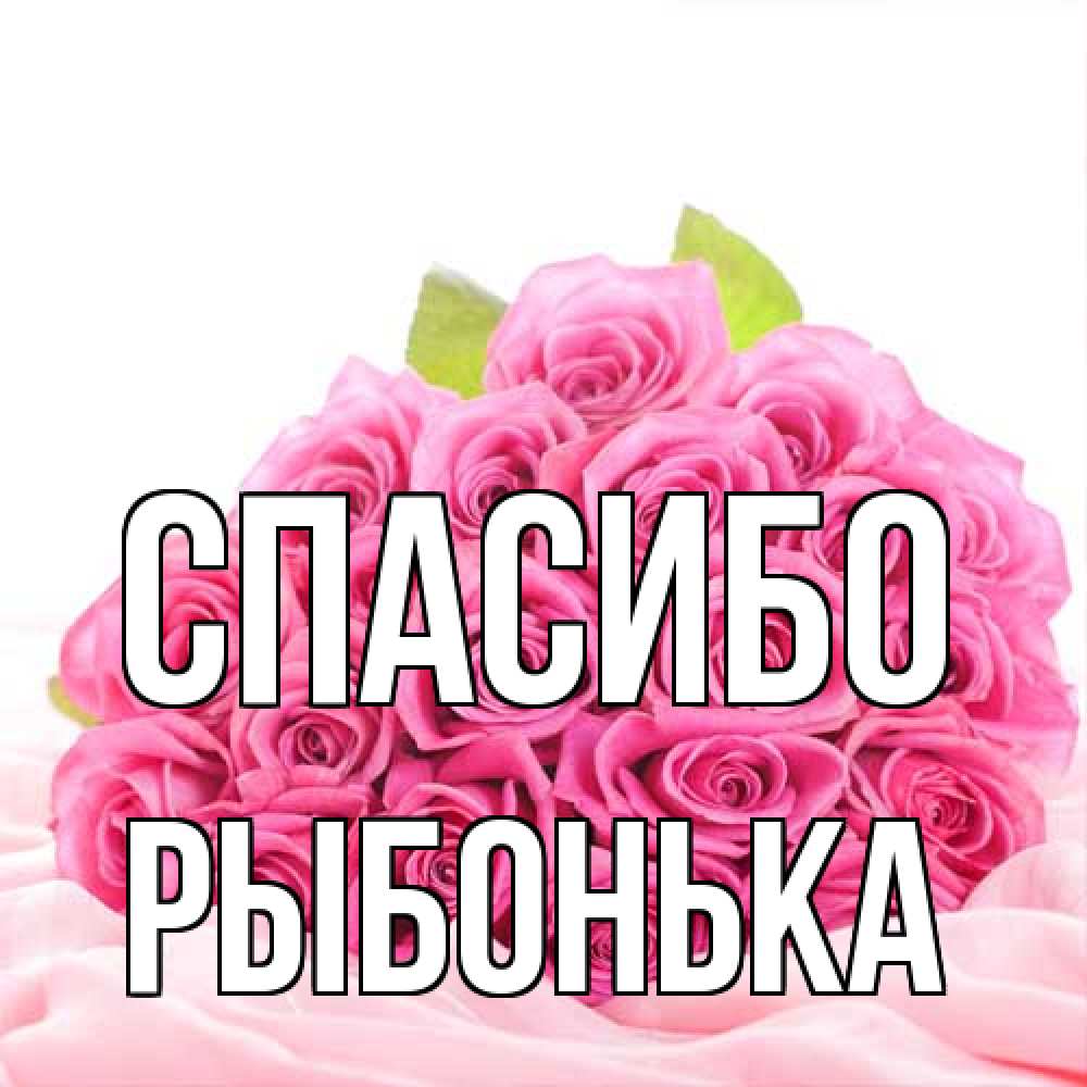 Открытка на каждый день с именем, Рыбонька Спасибо розовые розы с подписью Прикольная открытка с пожеланием онлайн скачать бесплатно 