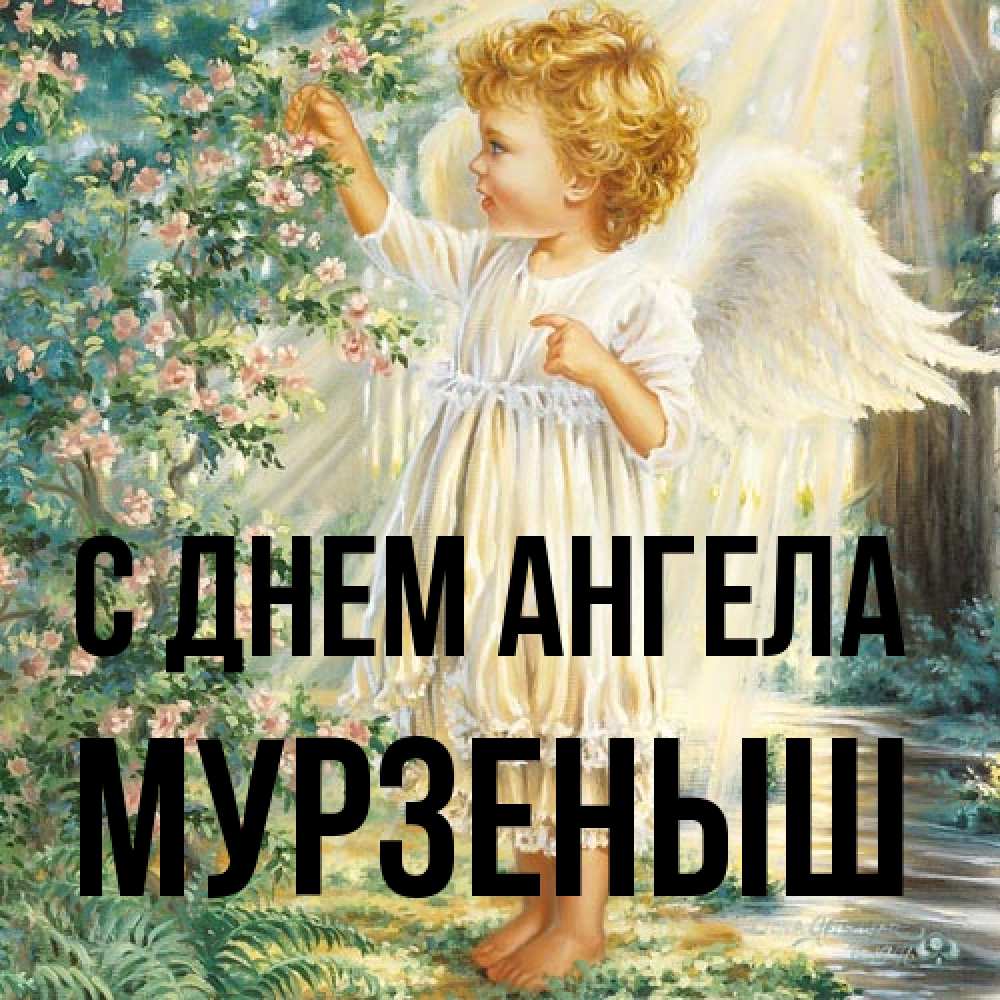 Открытка на каждый день с именем, мурзеныш С днем ангела собирает цветы Прикольная открытка с пожеланием онлайн скачать бесплатно 