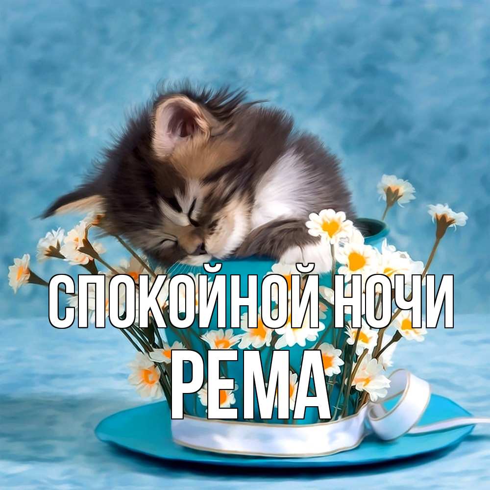 Открытка на каждый день с именем, Рема Спокойной ночи котенок спит в кружке с блюдцем Прикольная открытка с пожеланием онлайн скачать бесплатно 