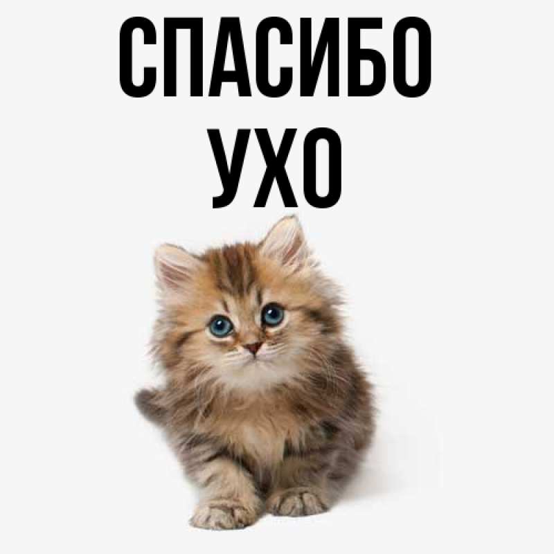 Картинка Спасибо, Ухо