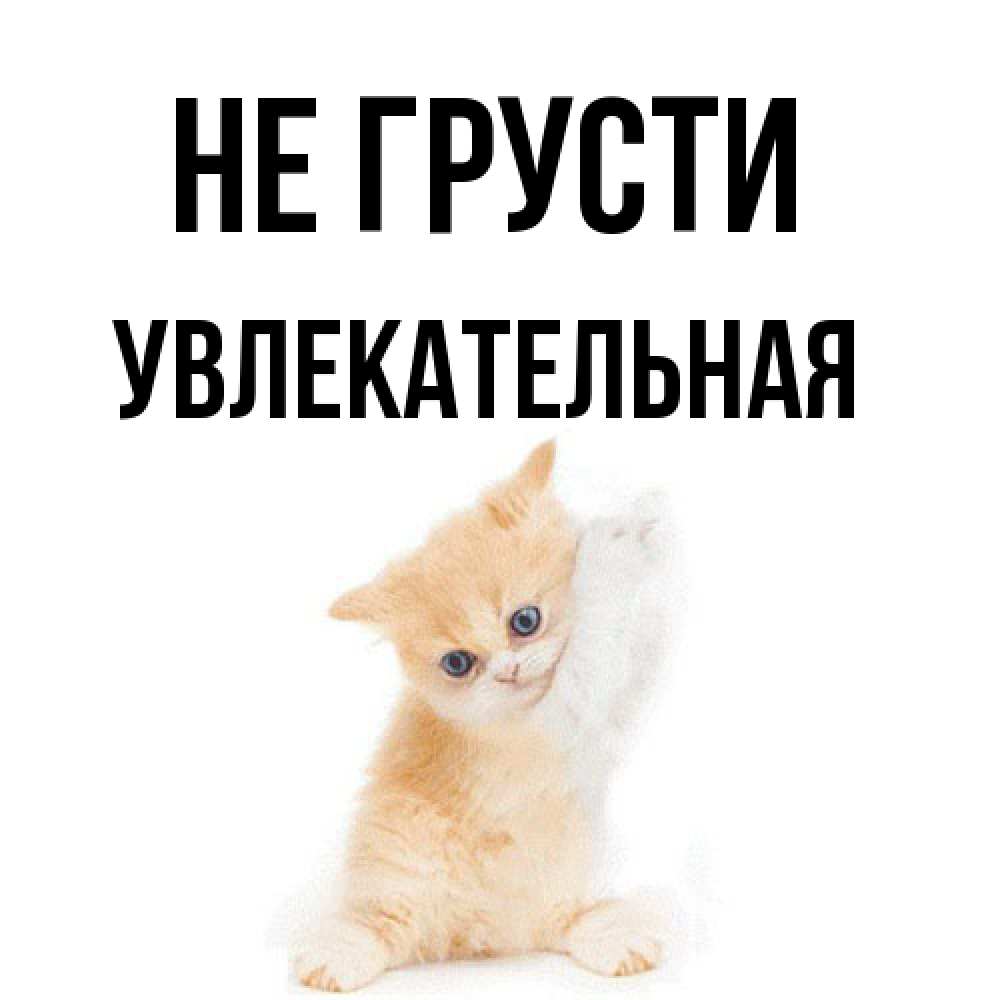 Открытка на каждый день с именем, Увлекательная Не грусти просящий кот Прикольная открытка с пожеланием онлайн скачать бесплатно 