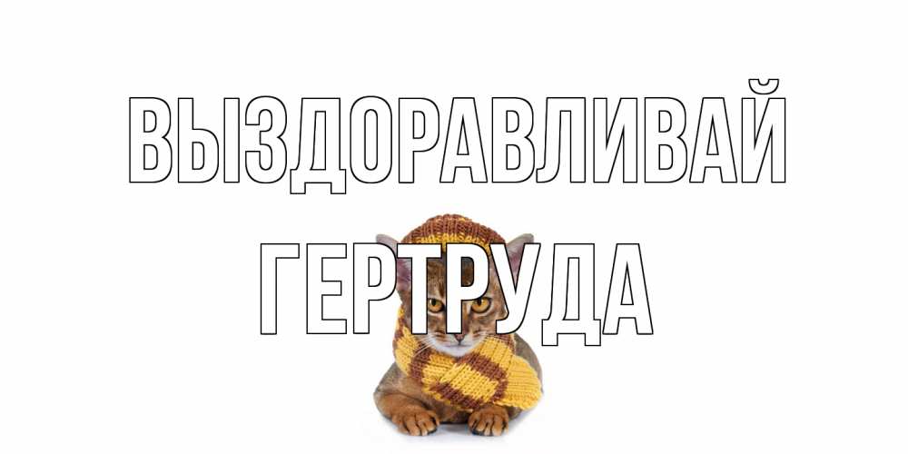 Открытка на каждый день с именем, Гертруда Выздоравливай родные не болейте Прикольная открытка с пожеланием онлайн скачать бесплатно 