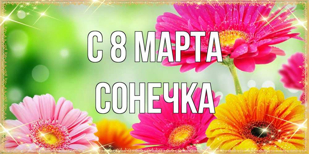 Открытка на каждый день с именем, Сонечка C 8 МАРТА цветочки для любимой женщины Прикольная открытка с пожеланием онлайн скачать бесплатно 